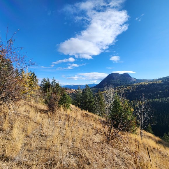 Meet your Posher, TL - Picture 14 of 14